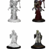 Dungeons & Dragons Nolzur's Marvelous Miniatures: Green Hag & Night Hag(D D Nolzurs Miniat Green Hag Night Hag)