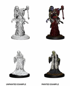 Dungeons & Dragons Nolzur's Marvelous Miniatures: Green Hag & Night Hag(D D Nolzurs Miniat Green Hag Night Hag)