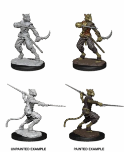 Dungeons & Dragons Nolzur's Marvelous Miniatures: Tabaxi Rogue(D D Nolzurs Miniatures Tabaxi Rogue)