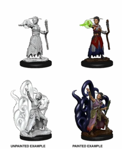 Dungeons & Dragons Nolzur's Marvelous Miniatures: Human Warlock(D D Nolzurs Miniatures Human Warlock)