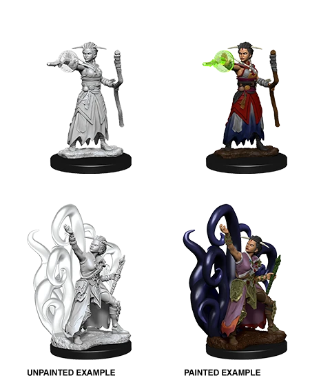 Dungeons & Dragons Nolzur's Marvelous Miniatures: Human Warlock(D D Nolzurs Miniatures Human Warlock) 1 Dungeons & Dragons Nolzur's Marvelous Miniatures: Human Warlock(D D Nolzurs Miniatures Human Warlock)