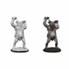 Dungeons & Dragons Nolzur's Marvelous Miniatures: Ettin(D D Nolzurs Miniatures Ettin)
