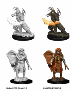 Dungeons & Dragons Nolzur's Marvelous Miniatures: Human Druid(D D Nolzurs Miniatures Human Druid 1)
