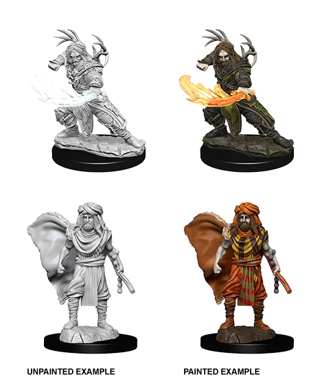 Dungeons & Dragons Nolzur's Marvelous Miniatures: Human Druid(D D Nolzurs Miniatures Human Druid 1) 1 Dungeons & Dragons Nolzur's Marvelous Miniatures: Human Druid(D D Nolzurs Miniatures Human Druid 1)
