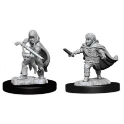 Dungeons & Dragons Nolzur's Marvelous Miniatures: Halfling Rogue Male(D D Nolzurs Miniatures Halfling Rogue Ma)