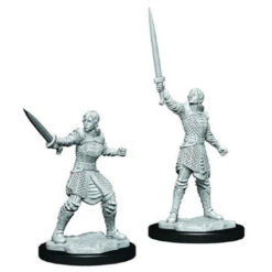 Critical Role Unpainted Miniatures: Human Dwendalian Empire Fighter(Critical Role Unpainted Miniatures Human Dwendalian Empire Fighter)