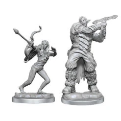 Critical Role Unpainted Miniatures: Ashari Stoneguard & Ashari Skydancer(Critical Role Unpainted Miniatures Ashari Stoneguard Ashari Skydancer)